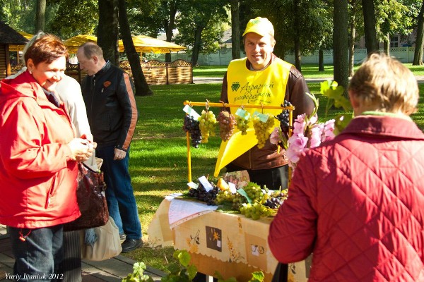 ГрГУ, университет, Жилибер, домашние питомцы, акция