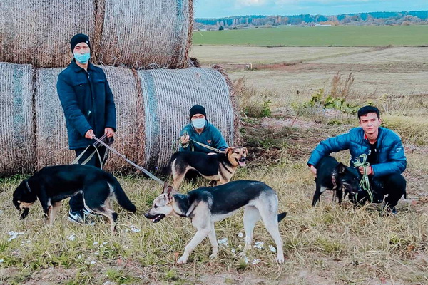 Валанцёры ГрДУ імя Янкі Купалы дапамагаюць у прытулку для жывёл