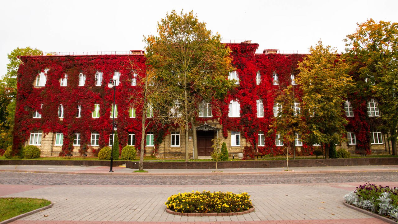 У Купалаўскім універсітэце адбудзецца канферэнцыя «Час гісторыі - час гісторыка»